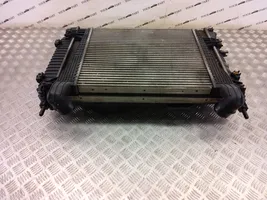 Chevrolet Captiva Kit Radiateur 95470788