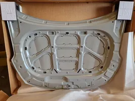 KIA Sorento Dangtis variklio (kapotas) 66400