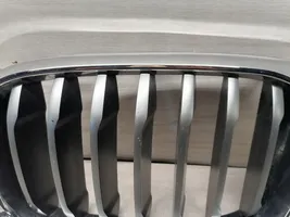 BMW X3 G01 Griglia superiore del radiatore paraurti anteriore 8091725