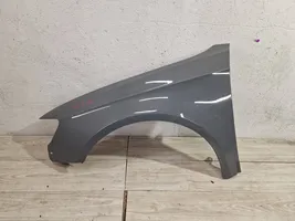 Audi RS3 Fender 