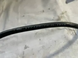 BMW 6 E63 E64 Negative earth cable (battery) 7620566