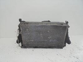 Volkswagen Beetle 1302 Radiateur de refroidissement 