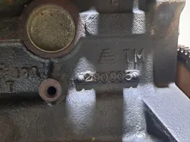 Jeep Wrangler Silnik / Komplet 511MX23