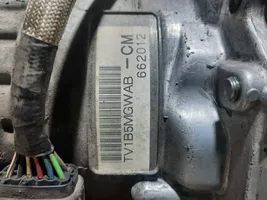 Subaru Outback Scatola del cambio automatico TV1B5MGWAB