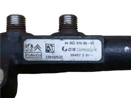 Citroen Berlingo Tuyau de conduite principale de carburant 9685297580