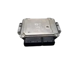 Hyundai H-1, Starex, Satellite Calculateur moteur ECU 0281015485