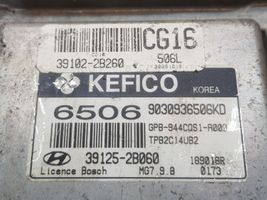 Hyundai i20 (PB PBT) Sterownik / Moduł ECU 391252B060