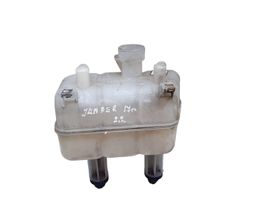 Citroen Jumper Serbatoio di compensazione del liquido refrigerante/vaschetta D348