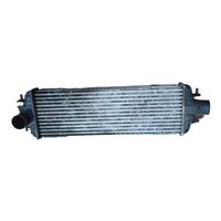 Renault Trafic II (X83) Intercooler radiator 8200219497