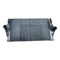 Renault Espace -  Grand espace IV Chłodnica powietrza doładowującego / Intercooler 8200075810C