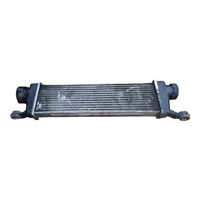 Mercedes-Benz Vaneo W414 Intercooler radiator A1685000000