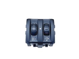 Renault Scenic III -  Grand scenic III Headlight level height control switch 251900001RD
