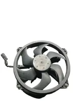 Citroen Berlingo Ventilateur de refroidissement de radiateur électrique 300000801