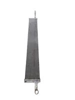 Renault Trafic III (X82) Radiateur 0080659