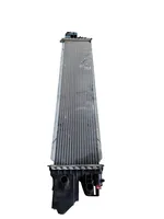 Renault Trafic III (X82) Radiateur 144614882R