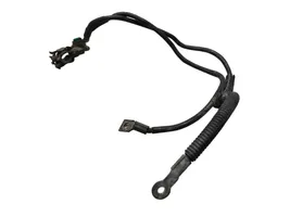 Citroen Berlingo Negative earth cable (battery) 