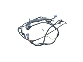 Citroen Berlingo Loading door wiring loom 9663081980