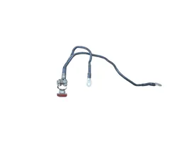 Citroen Berlingo Positive cable (battery) PRYSMIAN16G2