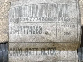 Fiat Ducato Câble de batterie positif 1347774080