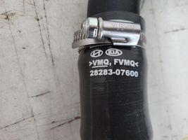 KIA Ceed Intercooler hose/pipe 
