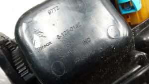 Citroen C5 Vaihteenvalitsimen kehys verhoilu muovia 81230142