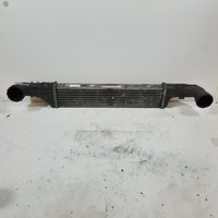 Mercedes-Benz E W210 Canale guida dell’aria dell’intercooler A2105001900