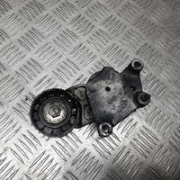 Citroen C5 Napinacz paska alternatora 1TF049