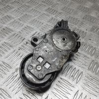 Citroen C5 Napinacz paska alternatora 1TF049