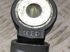 Fiat Punto (188) Detonation knock sensor 4901
