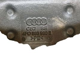 Audi A6 S6 C6 4F Rivestimento modanatura del vetro della portiera anteriore 