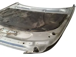 Audi A6 S6 C6 4F Dangtis variklio (kapotas) 4F0010189C