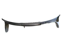 Volkswagen Phaeton Wiper trim 3D1819415C