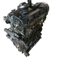 Volkswagen PASSAT B6 Engine BXE