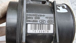 Hyundai Sonata Ilmamassan virtausanturi 2816425000