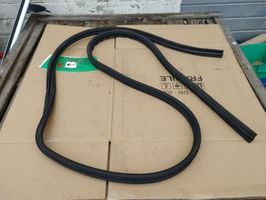 Fiat Doblo Front door rubber seal 