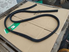 Fiat Doblo Front door rubber seal 