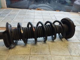 Honda Accord Rear shock absorber with coil spring 