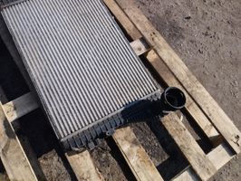 Volkswagen Touran I Radiatore intercooler 1K0145803M