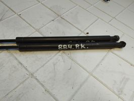 Citroen C5 Amortiguador/puntal del capó/tapa delantero 9628059280