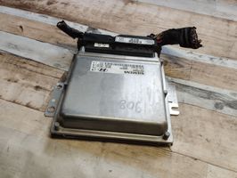 Hyundai Elantra Calculateur moteur ECU 3910223172