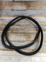 Audi A6 S6 C6 4F Front door rubber seal 