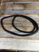 Audi A6 S6 C6 4F Front door rubber seal 