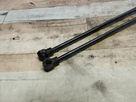 Dacia Lodgy Tailgate/trunk strut/damper 904528093R