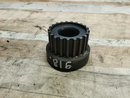 Hyundai Santa Fe Crankshaft gear 