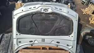 Volkswagen PASSAT B5.5 Engine bonnet/hood 