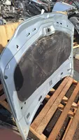 Volkswagen PASSAT B5.5 Engine bonnet/hood 