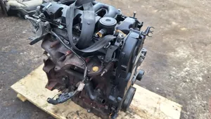 Volvo V50 Motor D4204T