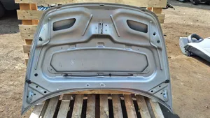 Citroen C3 Pluriel Motorhaube 