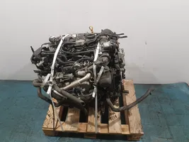 Ford Focus ST Engine DV5FC