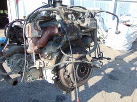 Ford Escort Silnik / Komplet 6696128